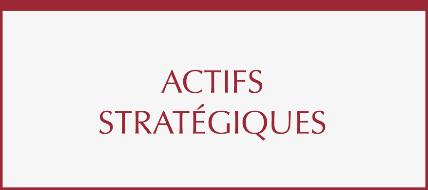 Actifs Stratégiques